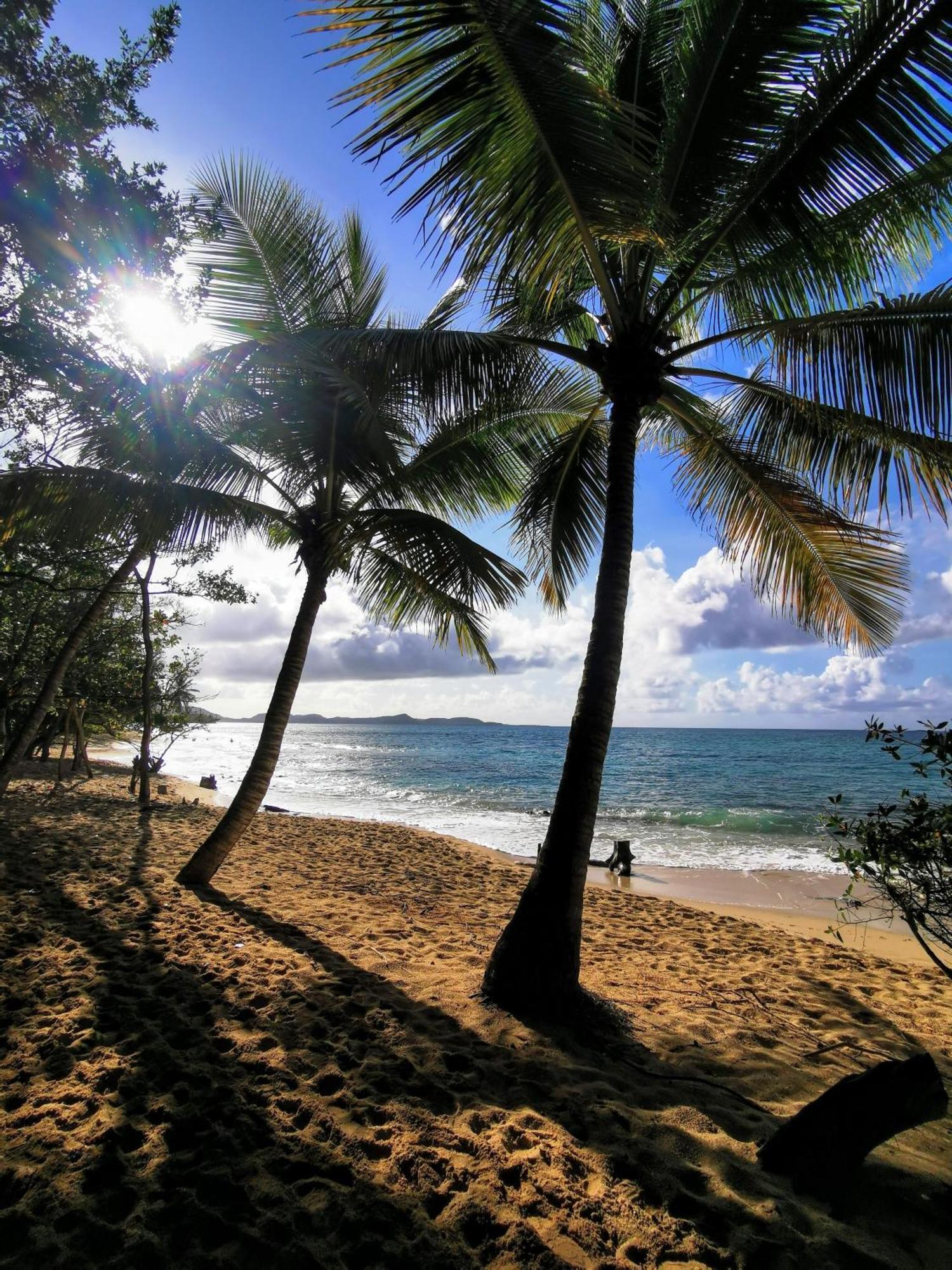 Ti'Bakoua A Sainte-Luce Plage Et Piscine Екстер'єр фото